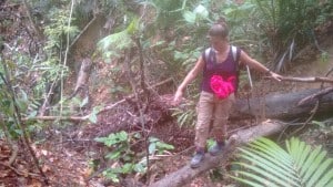 Taman Negara