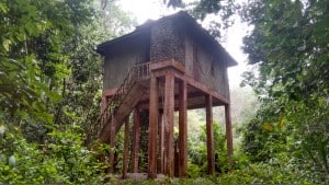 Bumbun Kambung