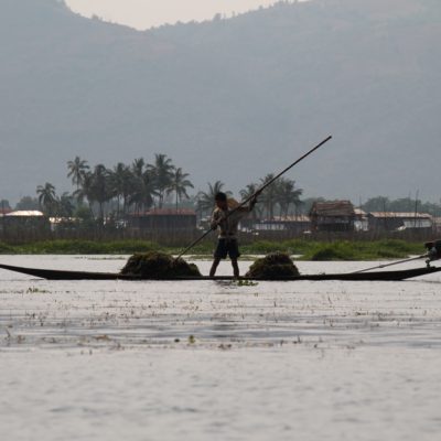 Pero no todos son pescadores, en el lago Inle también hay quien se dedica a sacar todas las hierbas que flotan sobre el agua
