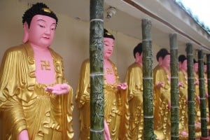 Buddhas