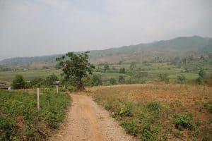Campos