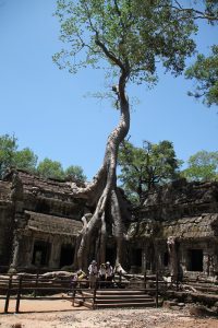 Ta Prohm