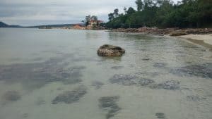 Agua cristalina