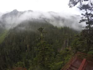Niebla