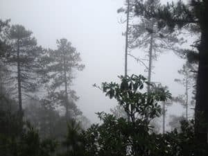 Yubeng