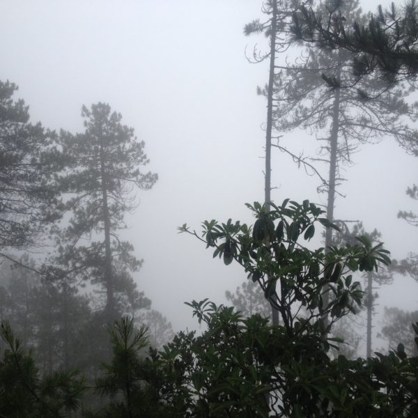 Aunque confiábamos que en el regreso de Yubeng tendríamos más vistas, nos volvimos a encontrar con la niebla