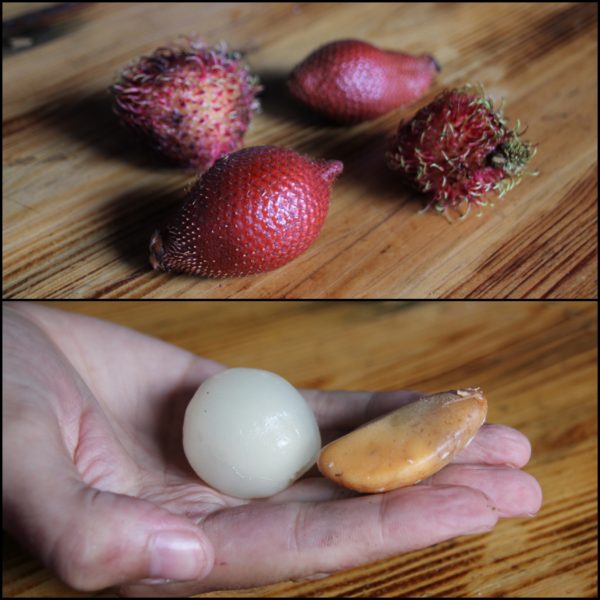Las chinas de nuestro hostal también nos dieron a probar estas dos frutas: el rambután (parecido al lichi) y la fruta de la serpiente (llamada así por la textura de su piel). ¡Muy buenas las dos!