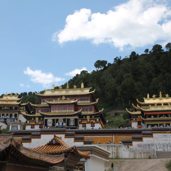 El complejo se componía de varios templos y un montón de pequeñas casas donde vivían los monjes