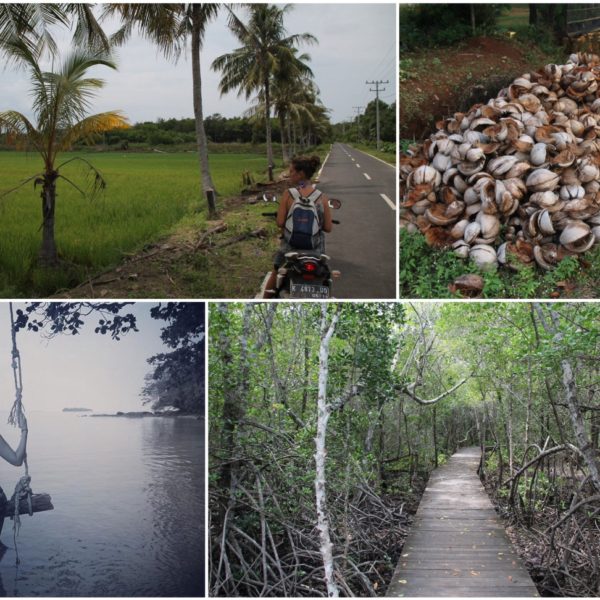 El recorrido en moto nos mostró cosas curiosas de la isla como los manglares o pilas de cocos secos que no sabemos para qué usarán
