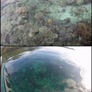 El agua era tan transparente que desde el barco se podía ver el coral bajo el mar